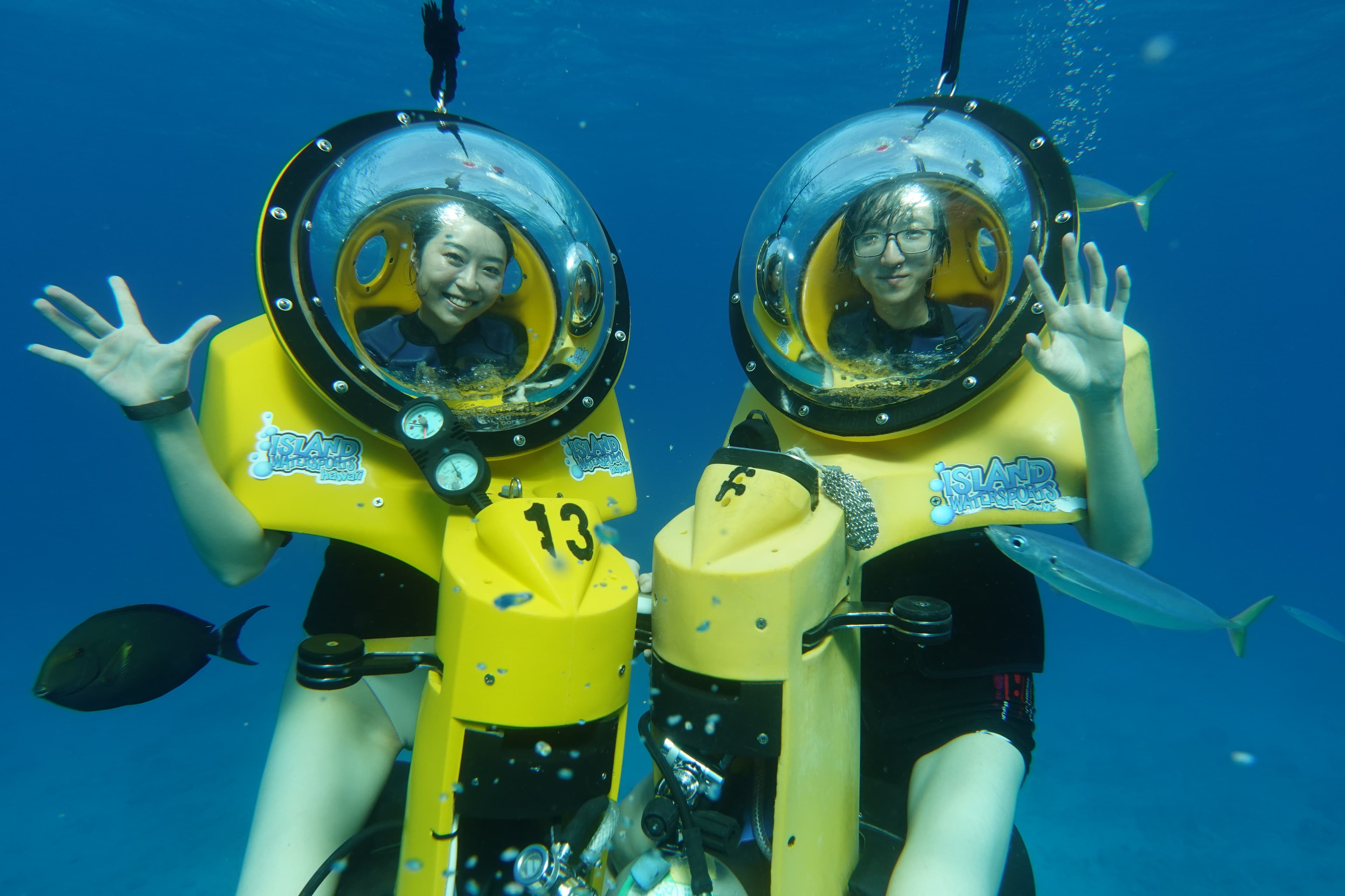 Hawaii Trip, Under Water